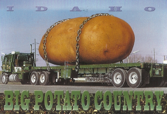 BigPotato.jpg